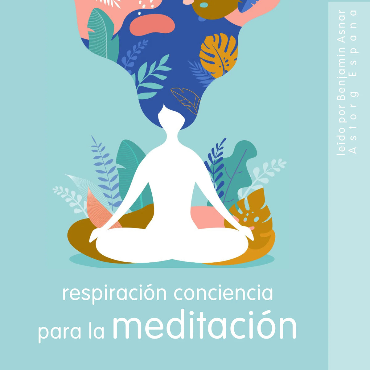 Respiración Conciencia para la meditación