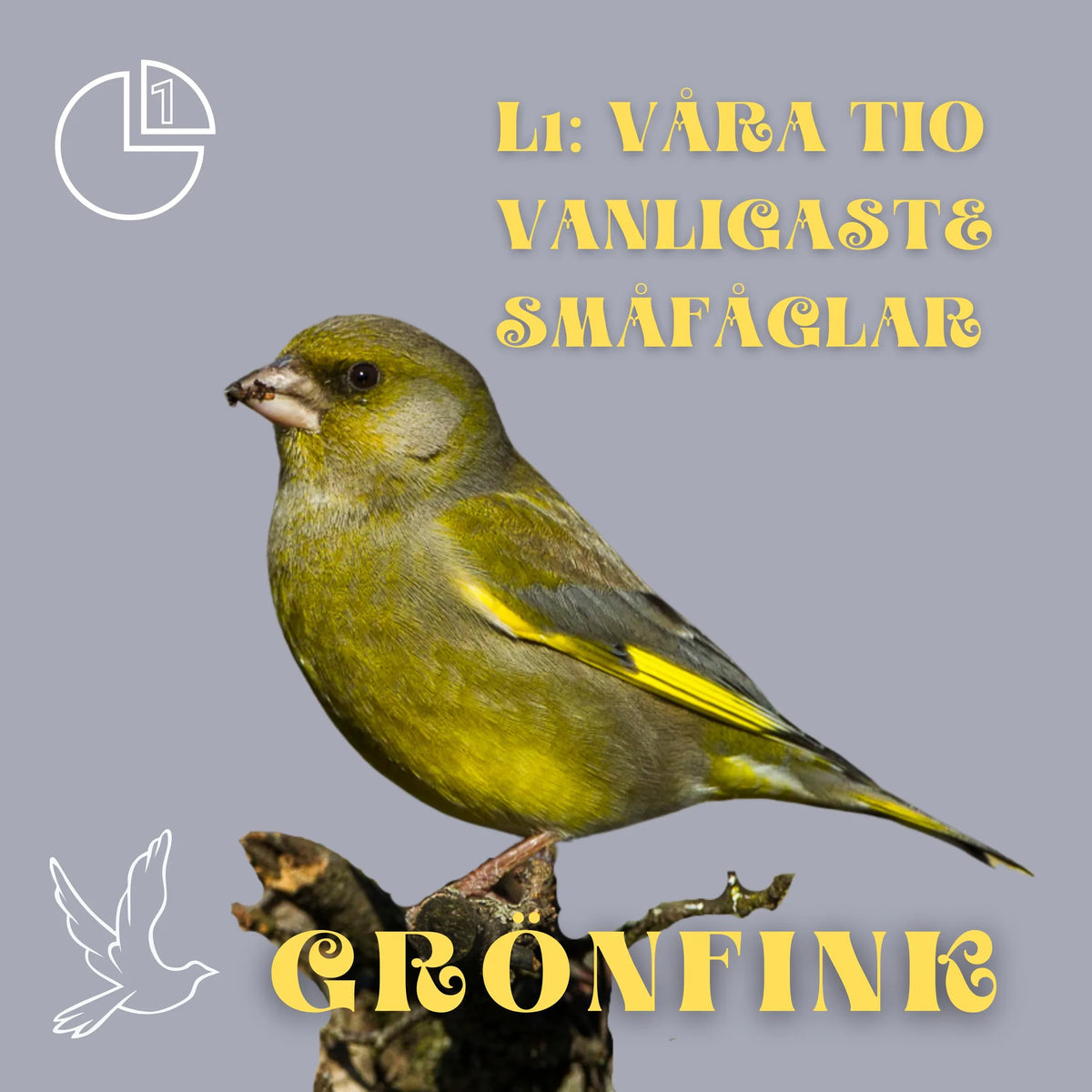 Grönfink