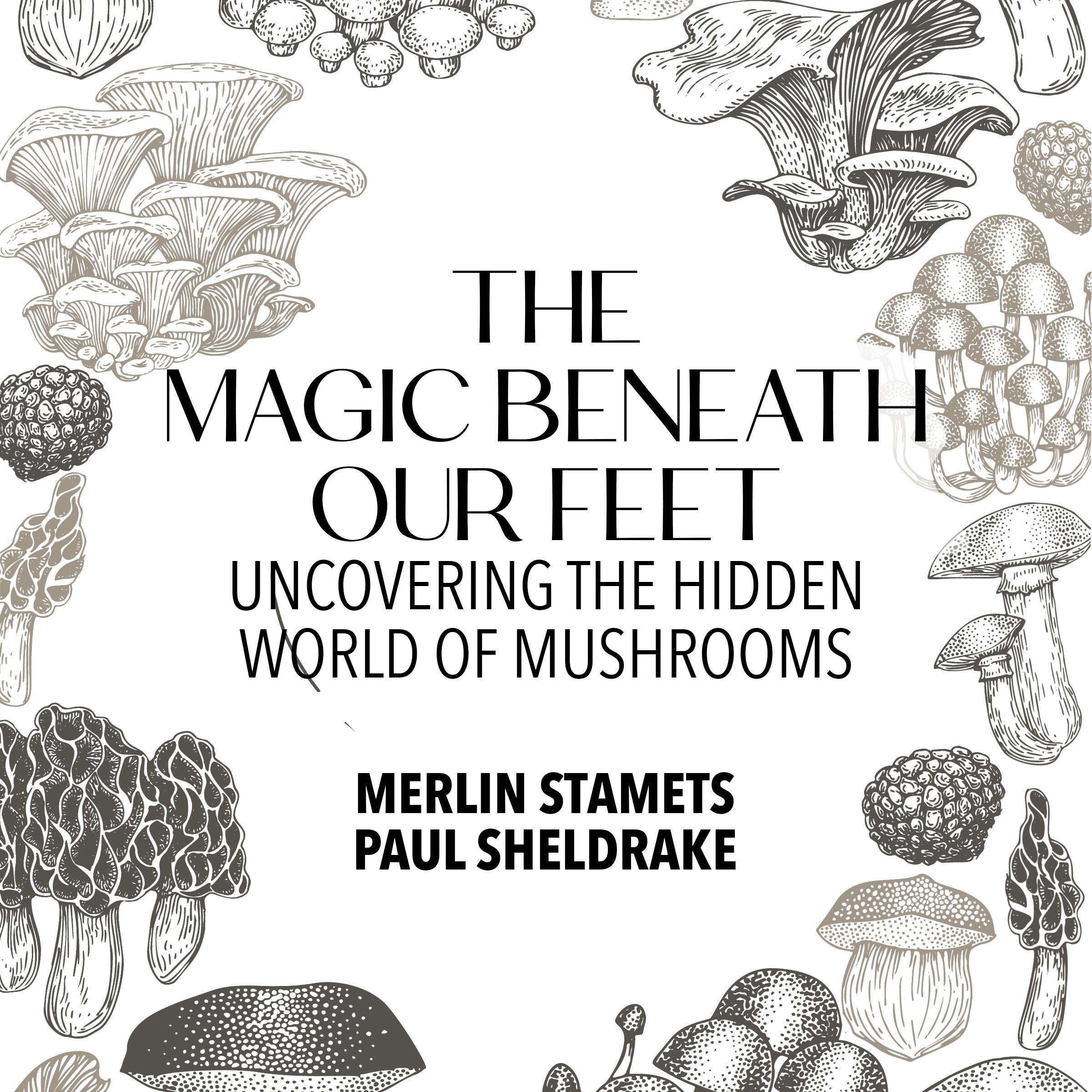 The Magic Beneath Our Feet