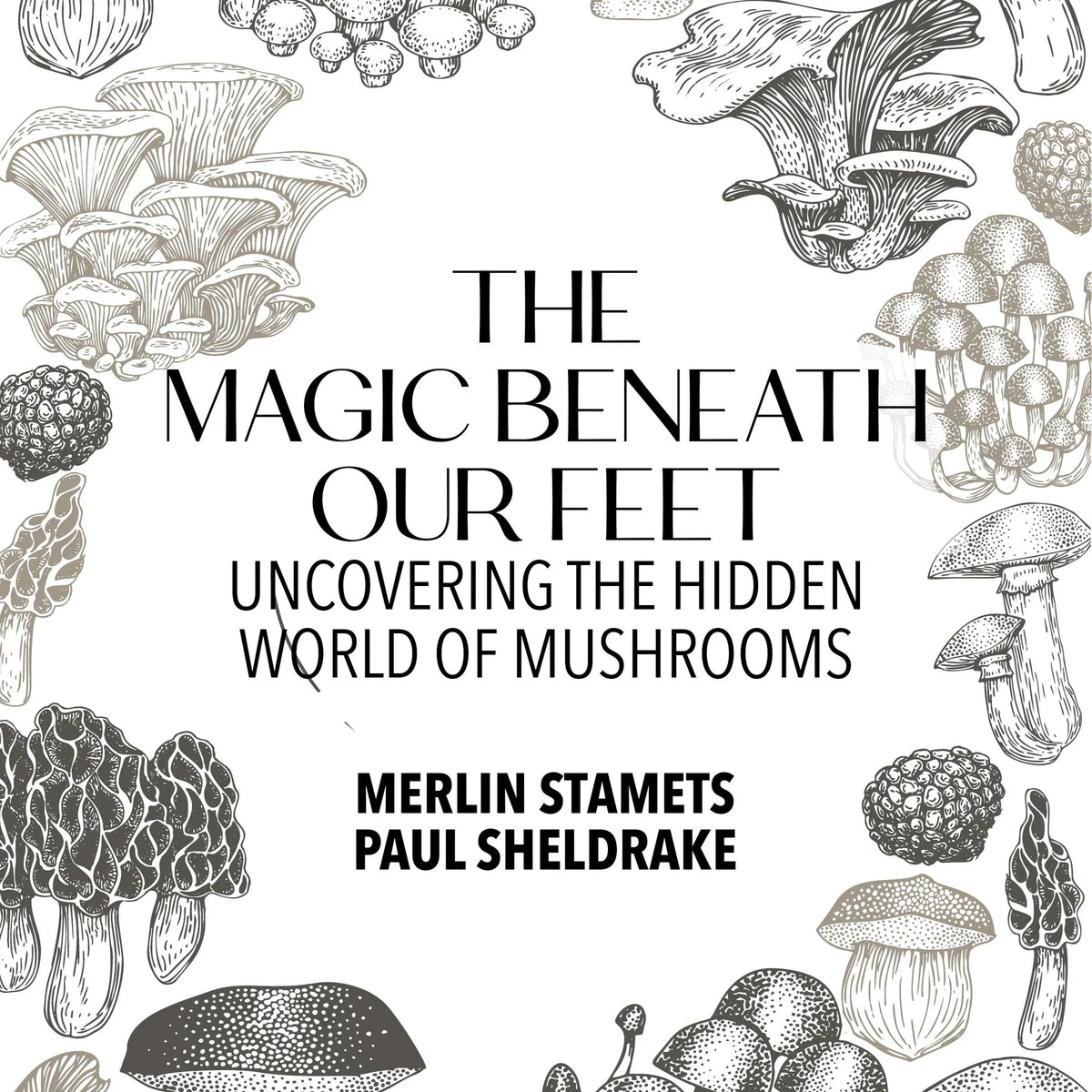 The Magic Beneath Our Feet