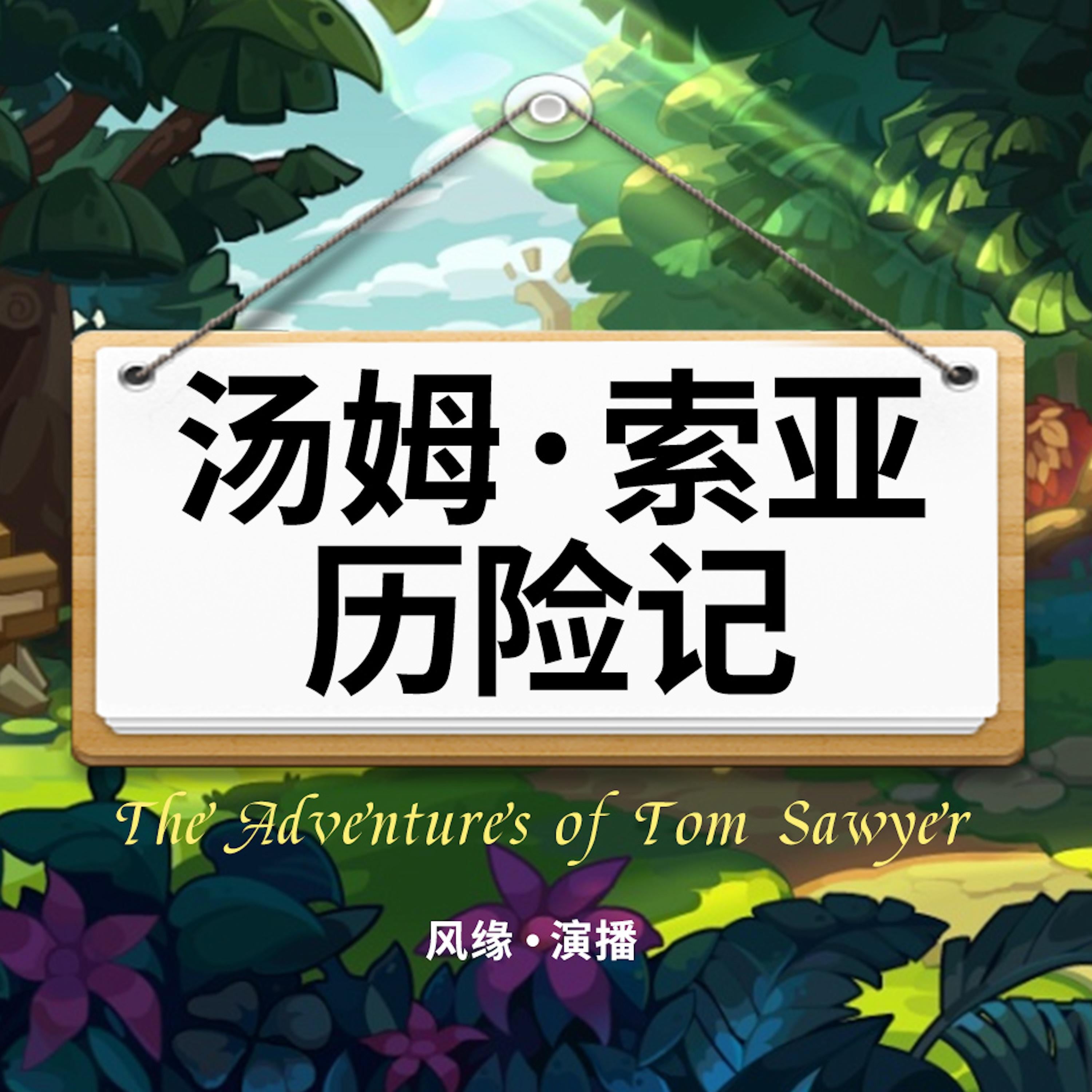 汤姆·索亚历险记