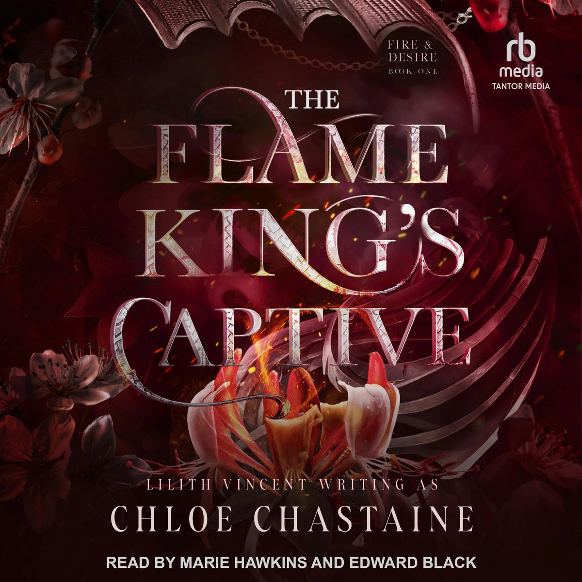 The Flame King’s Captive