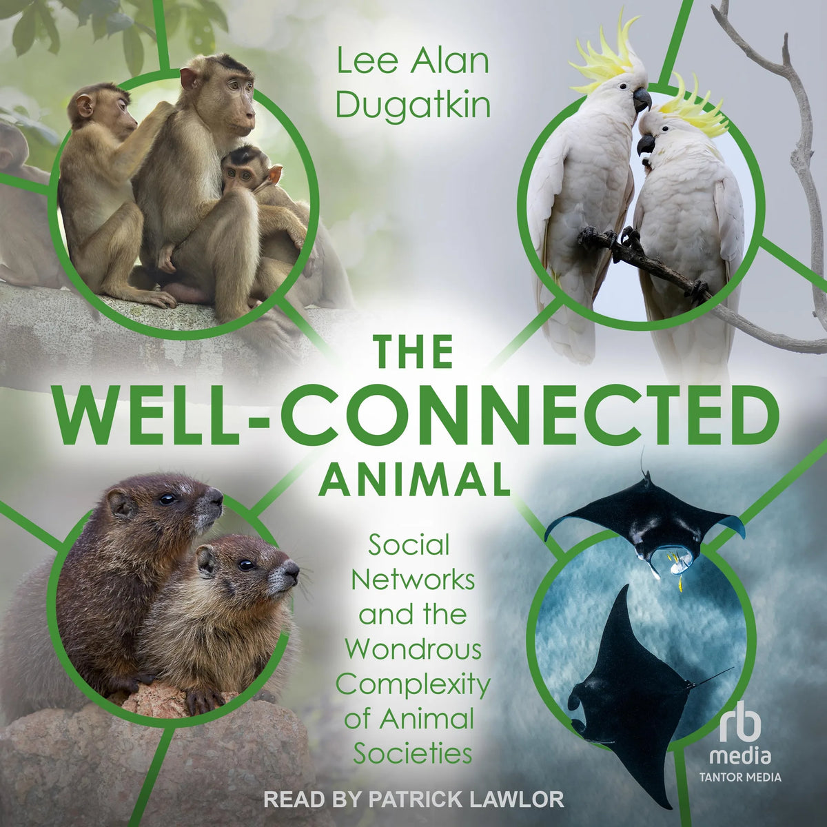 The Well-Connected Animal