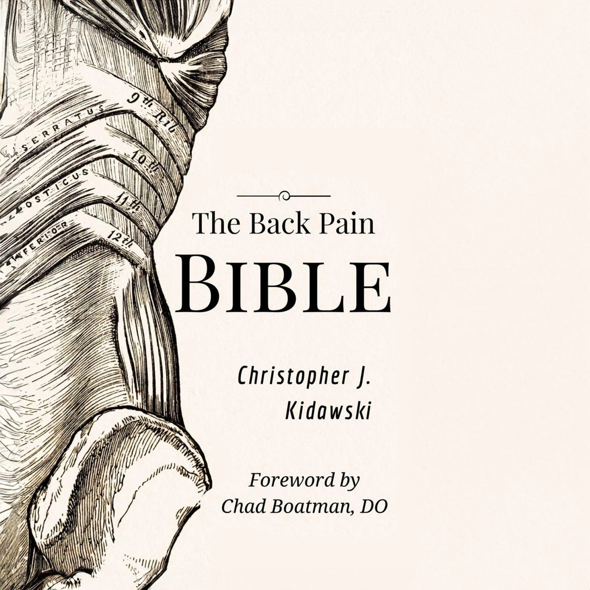 The Back Pain Bible