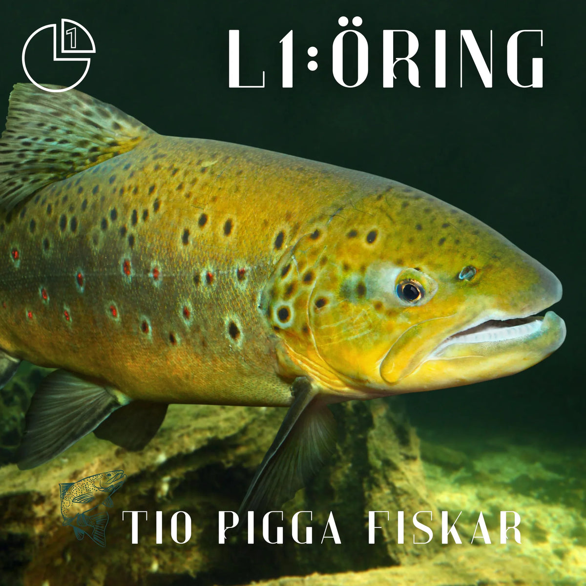 Öring