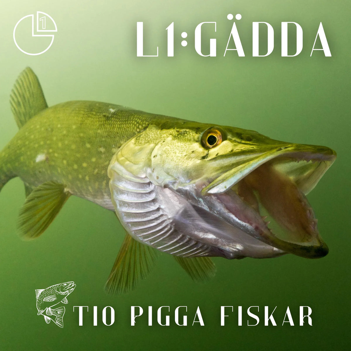 Gädda