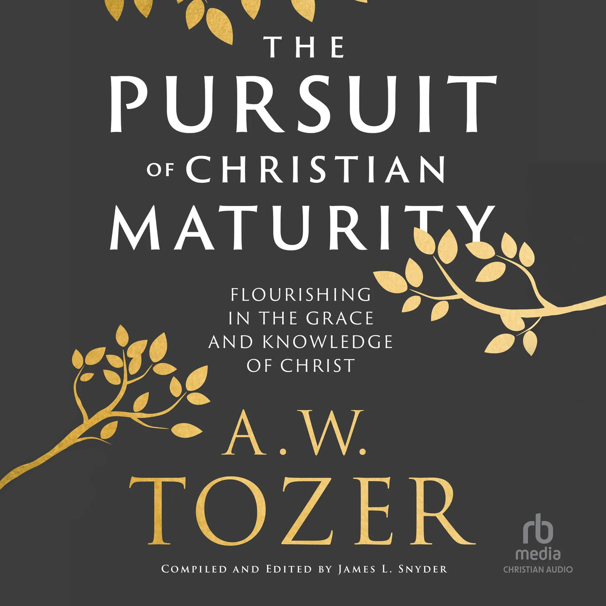 The Pursuit of Christian Maturity