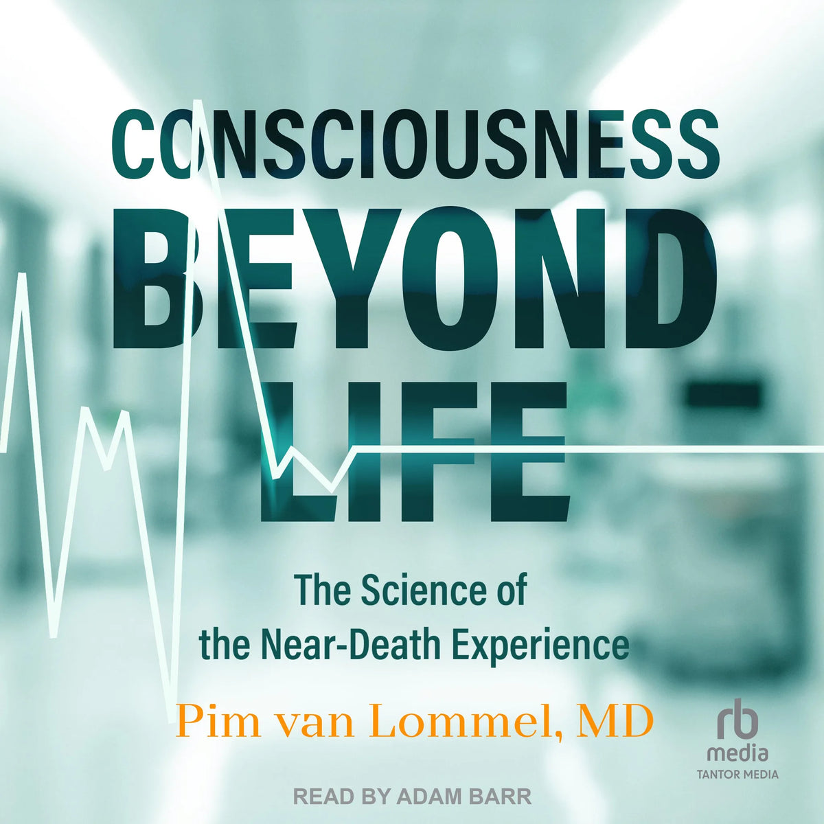 Consciousness Beyond Life