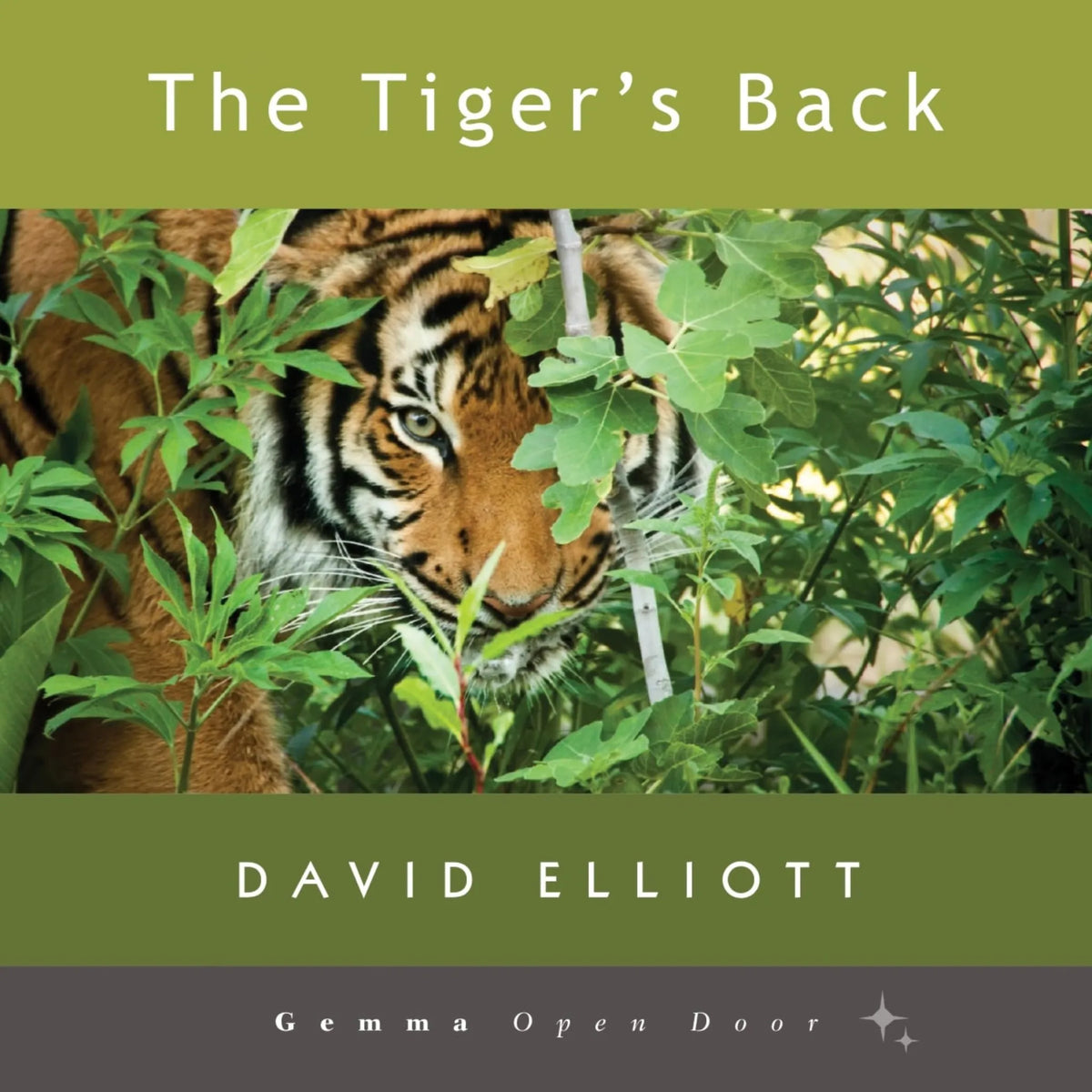 The Tiger's Back