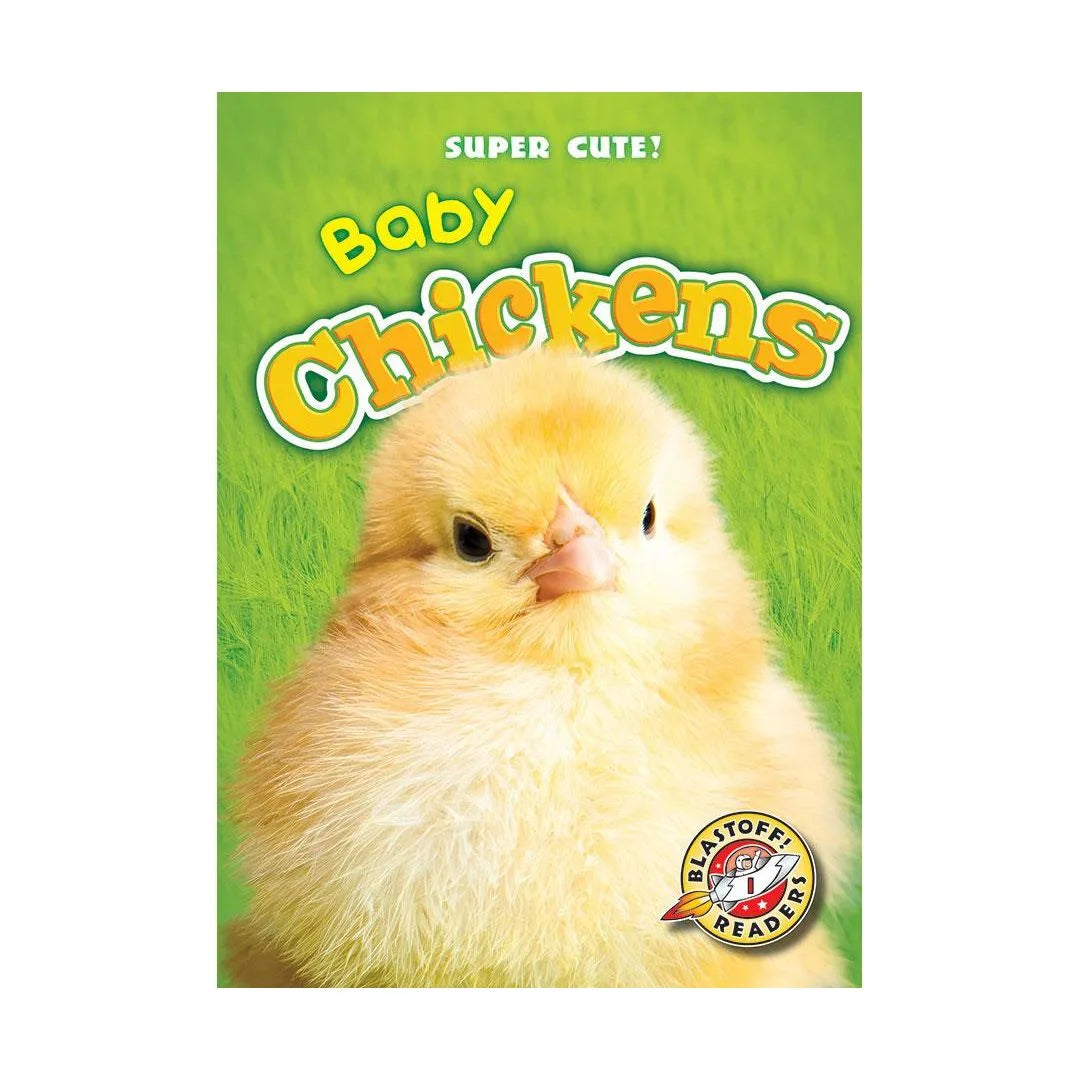 Baby Chickens