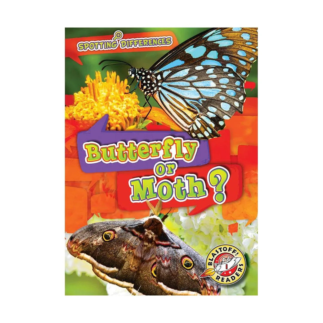 Butterfly or Moth?