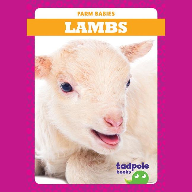 Lambs