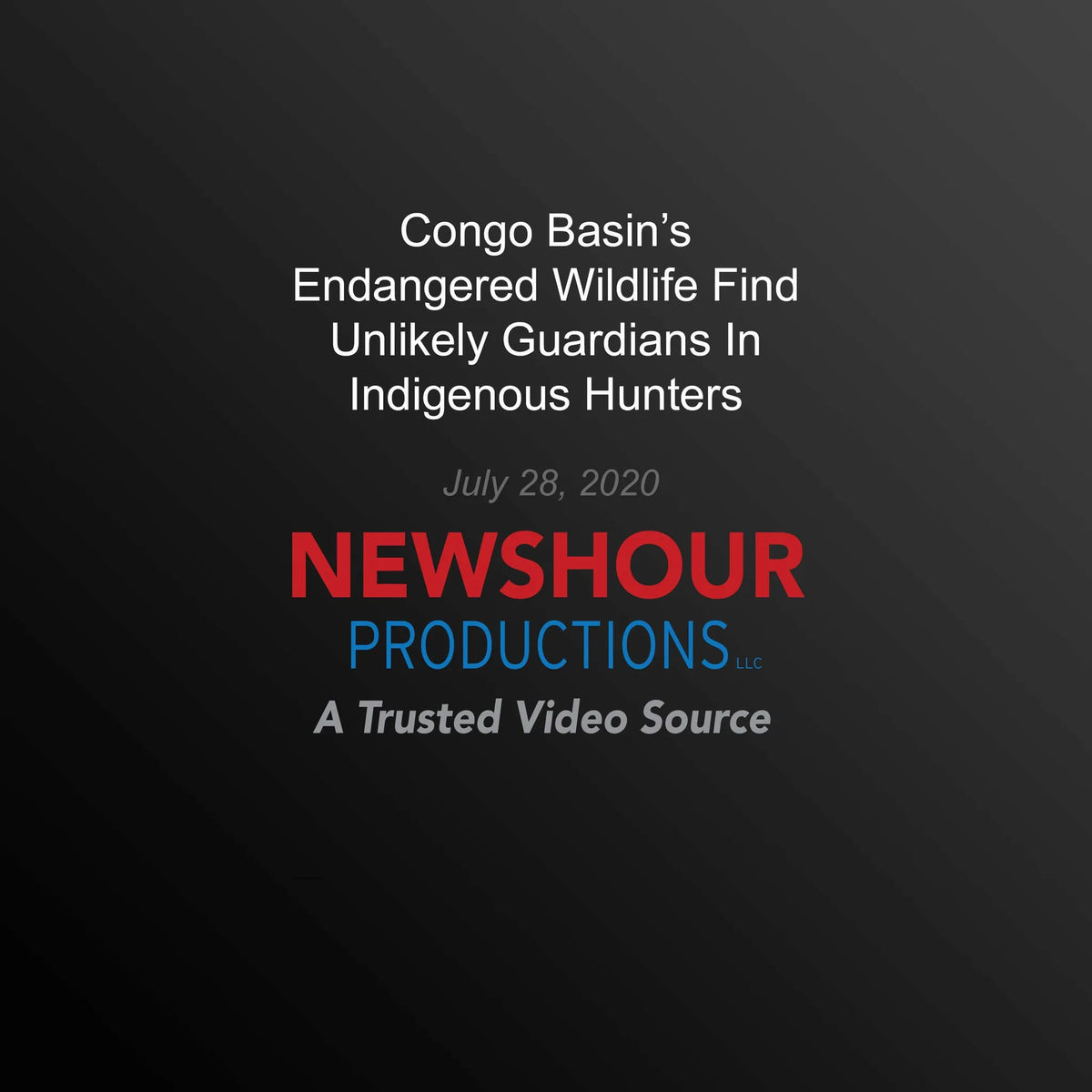 Congo Basin’s Endangered Wildlife Find Unlikely Guardians In Indigenous Hunters