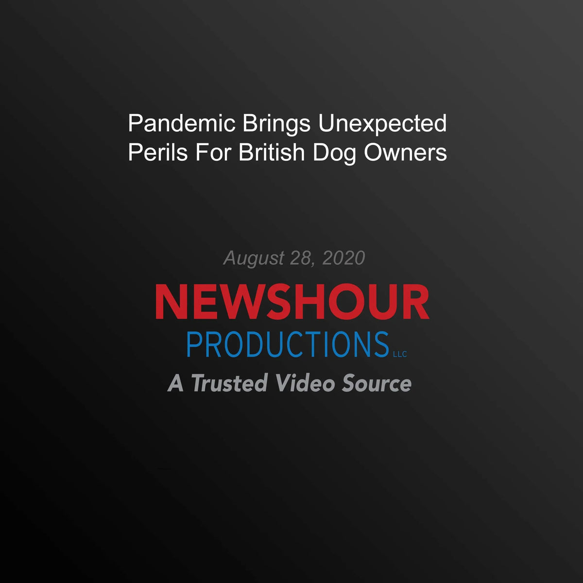 Pandemic Brings Unexpected Perils For British Dog Owners