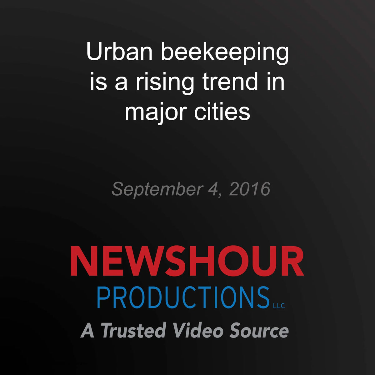 Urban beekeeping is a rising trend in major cities