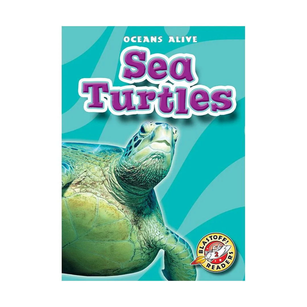 Sea Turtles