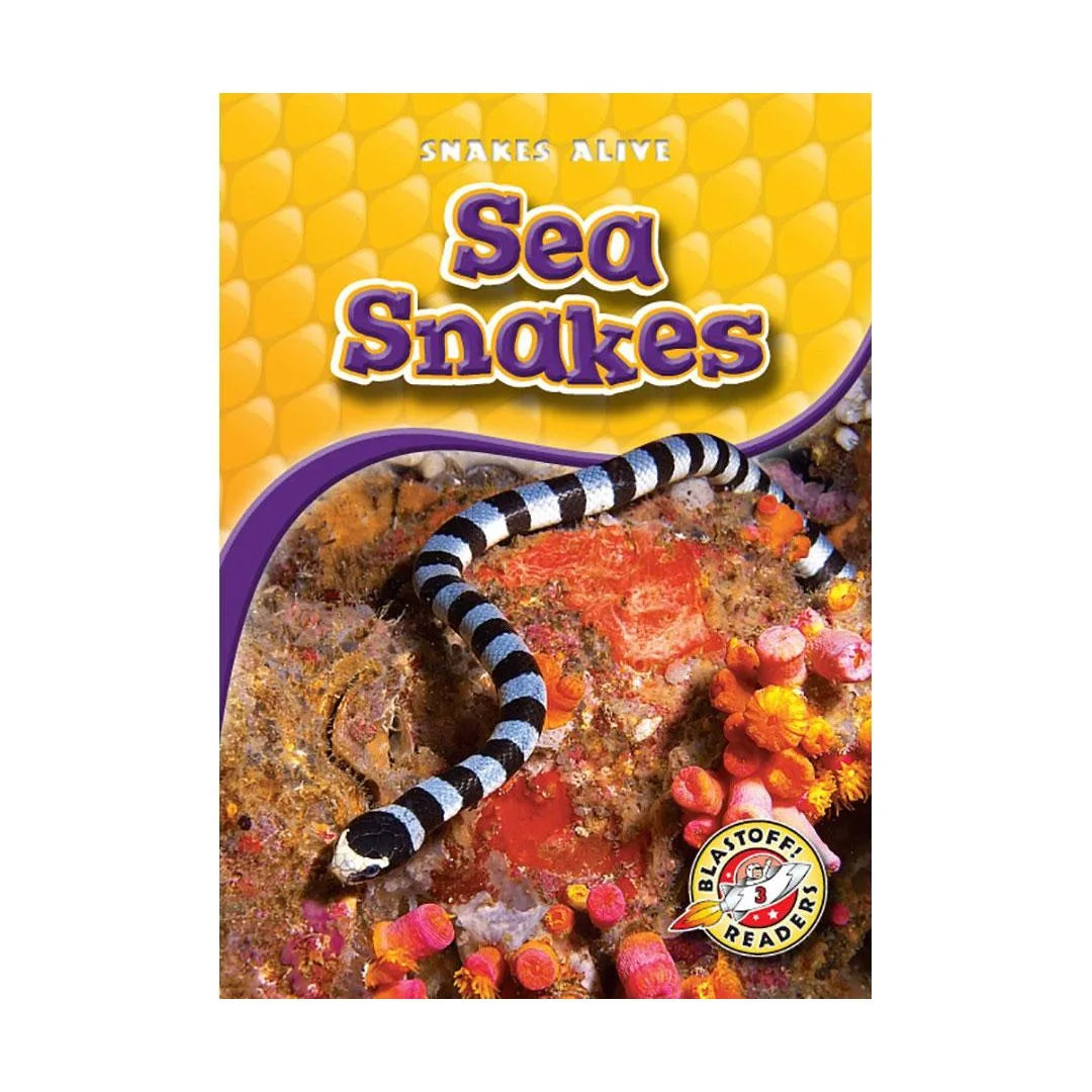 Sea Snakes