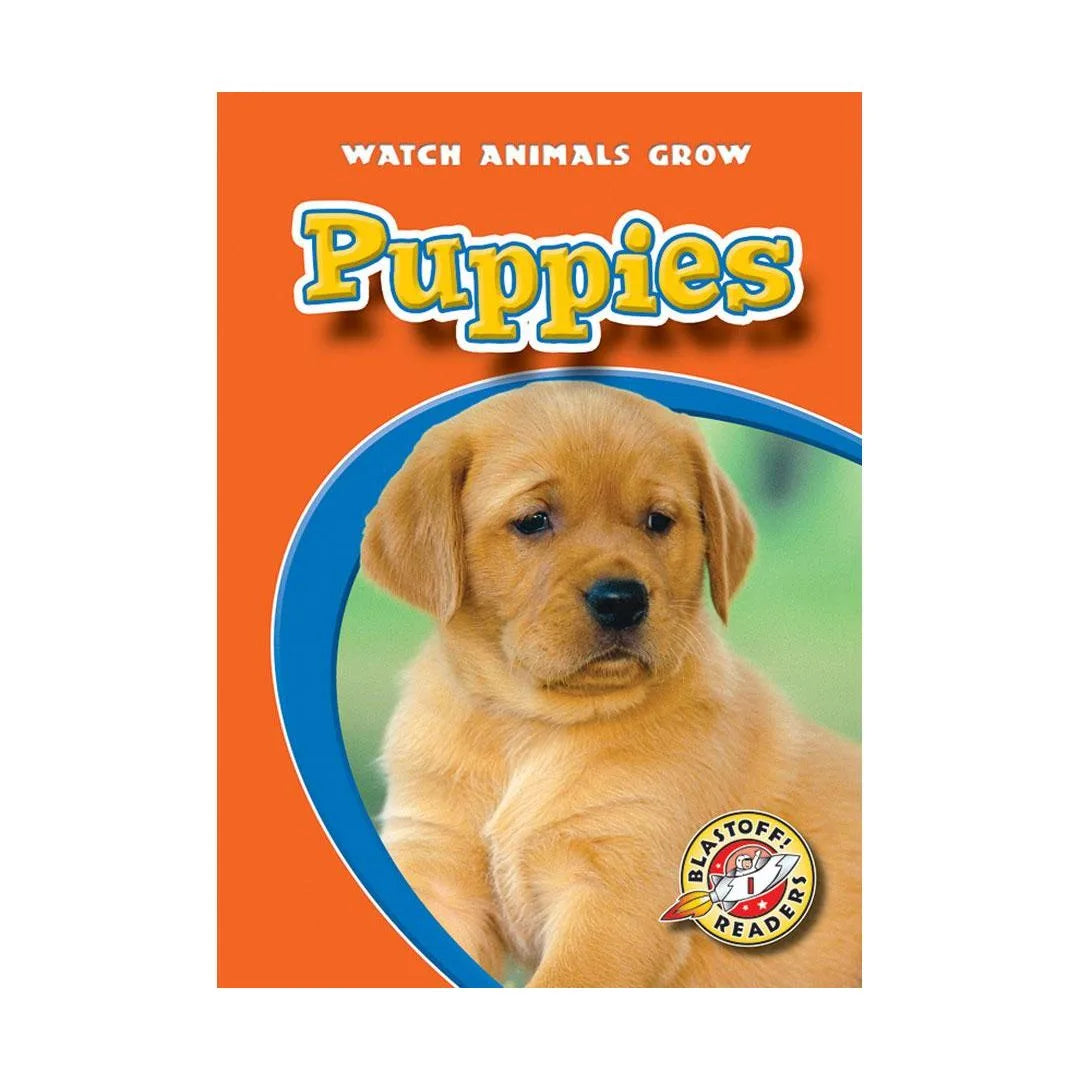 Puppies