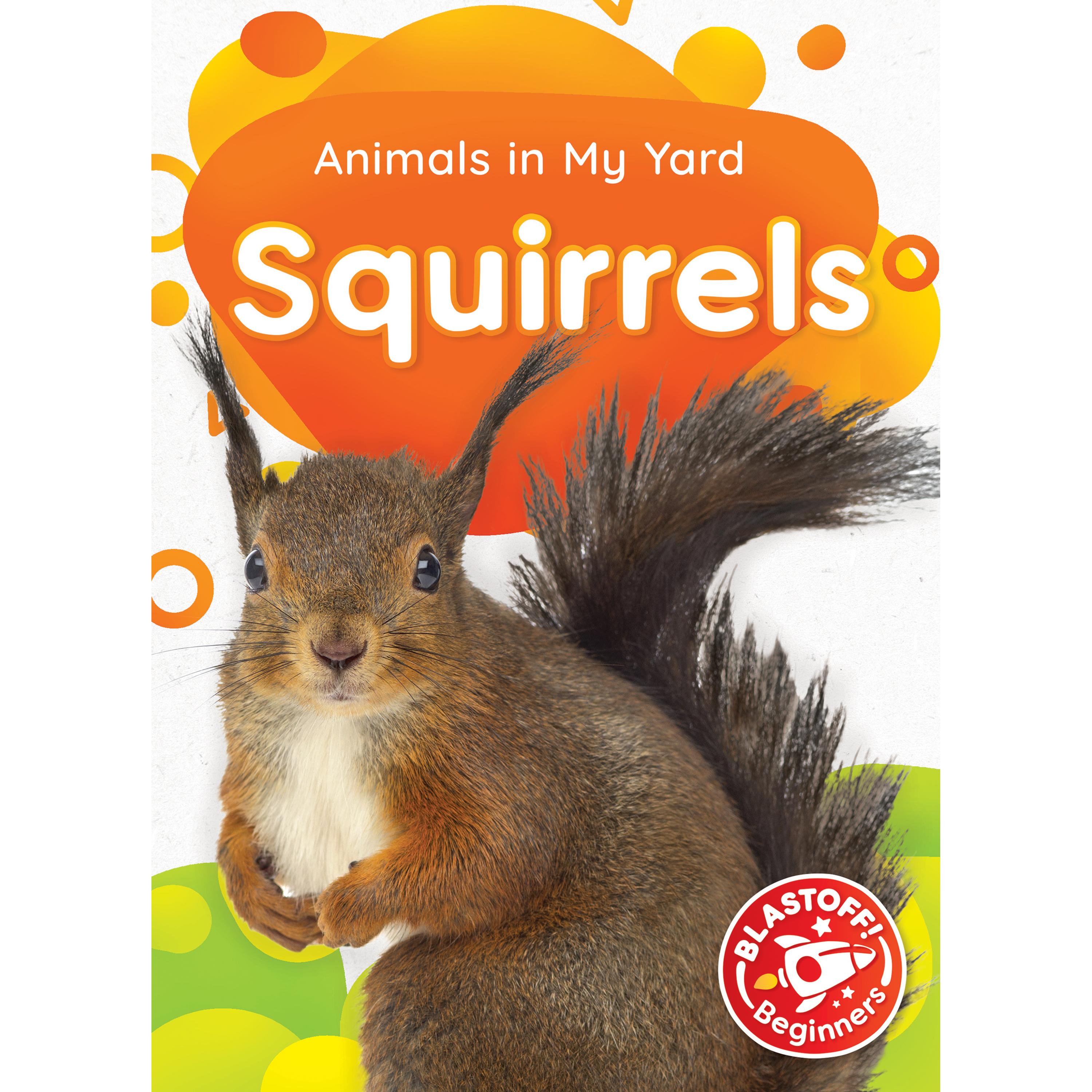 Squirrels