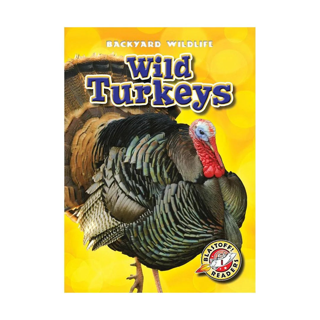 Wild Turkeys