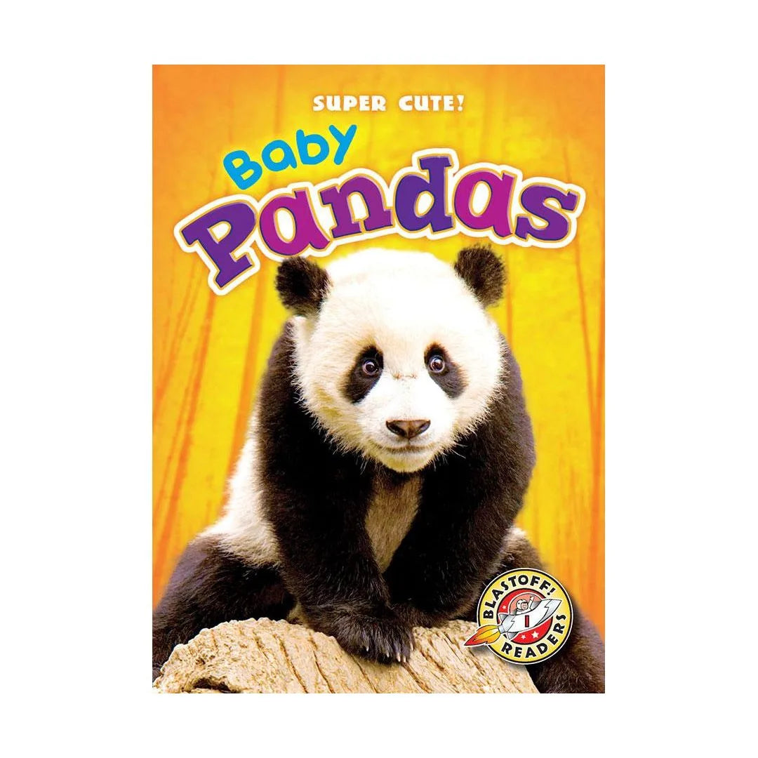 Baby Pandas