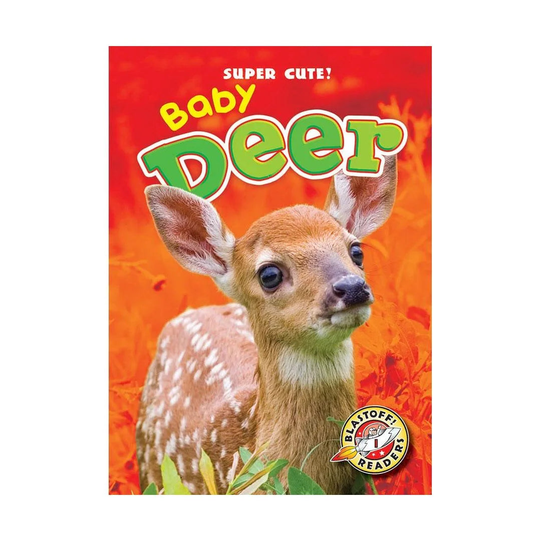 Baby Deer