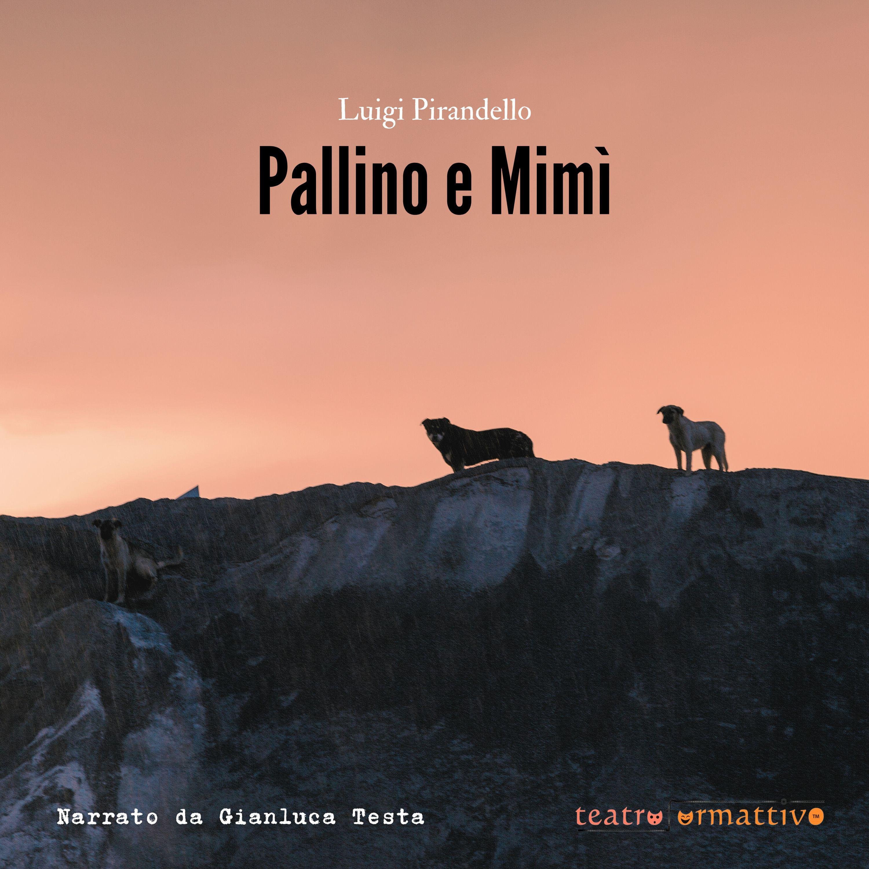 Pallino e Mimì