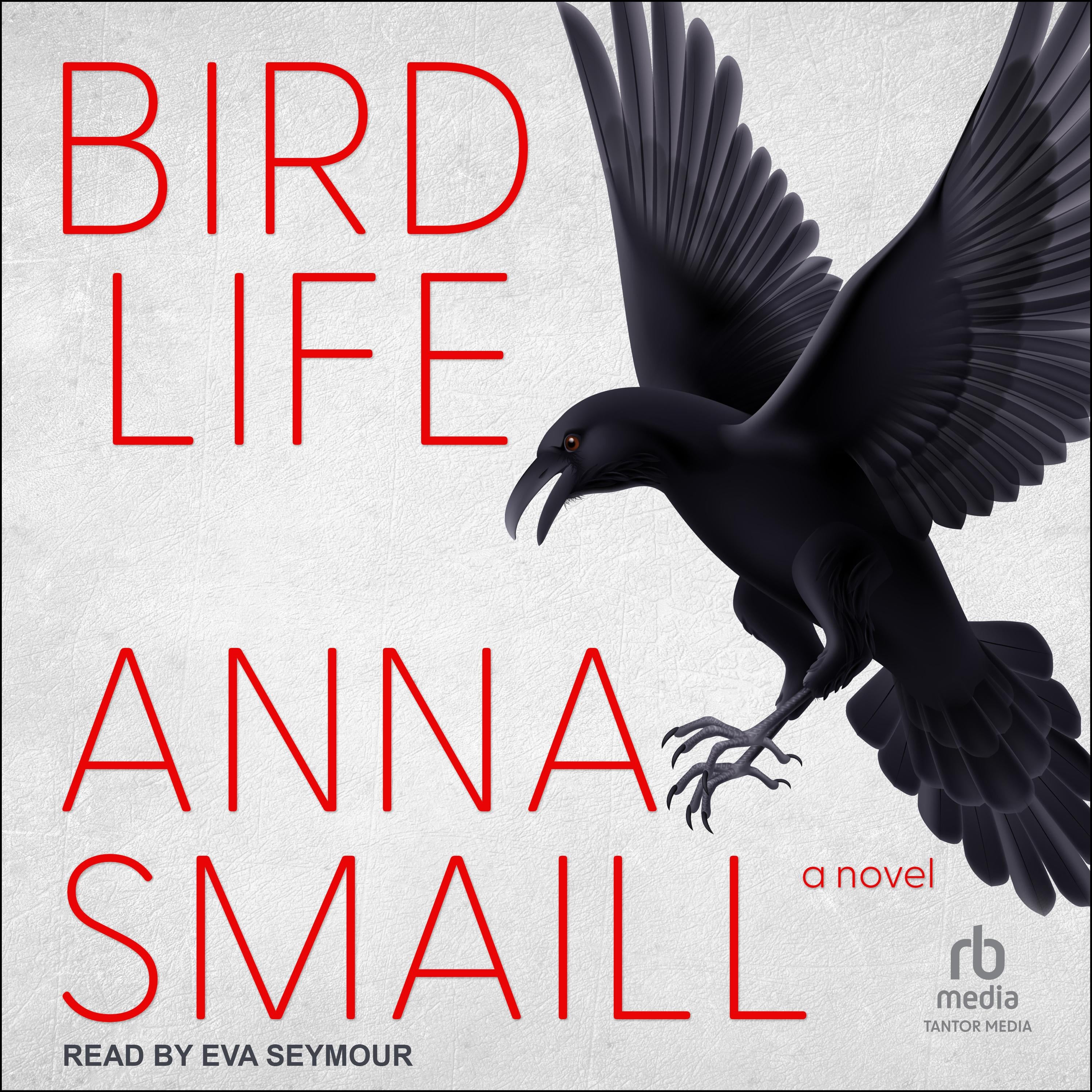Bird Life