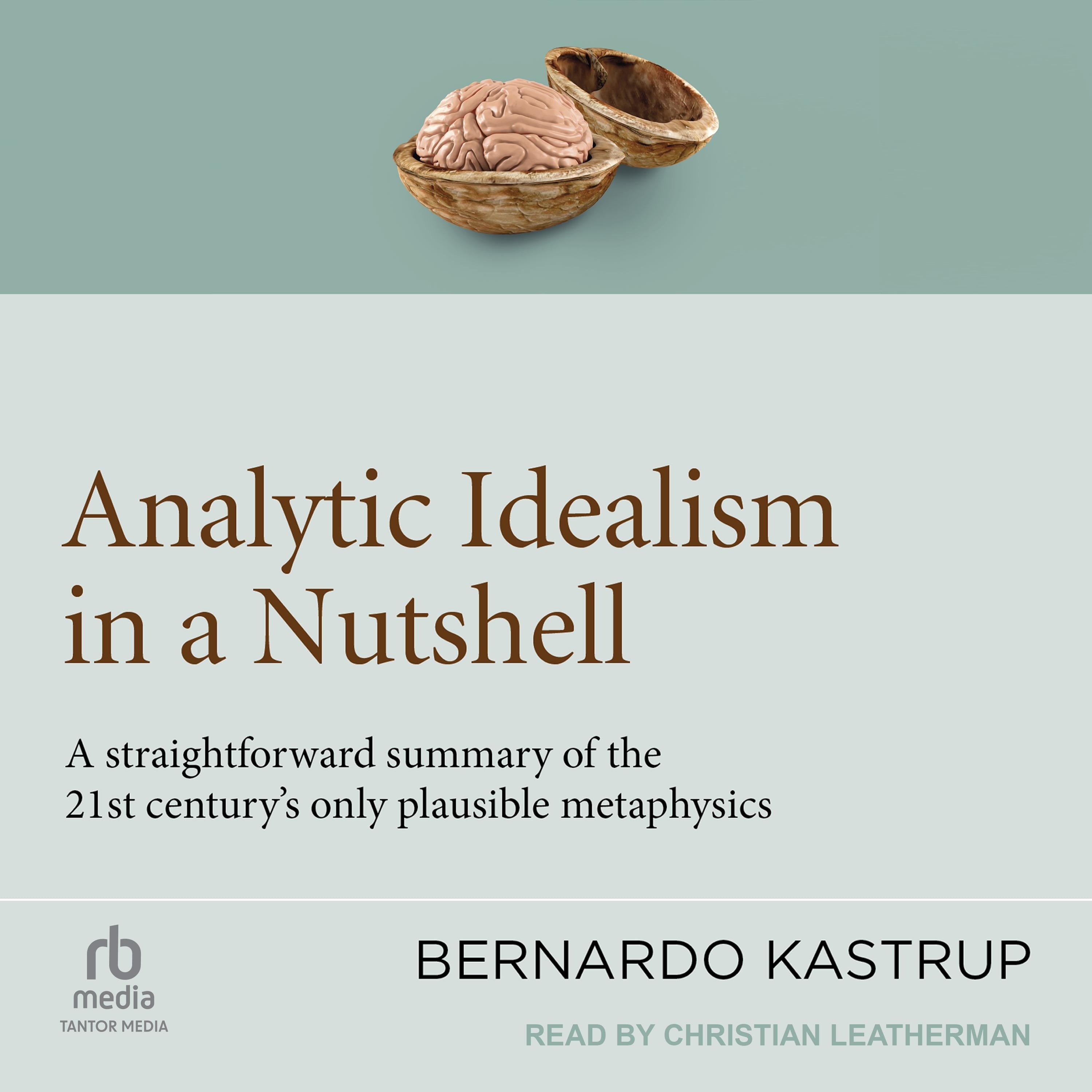 Analytic Idealism in a Nutshell