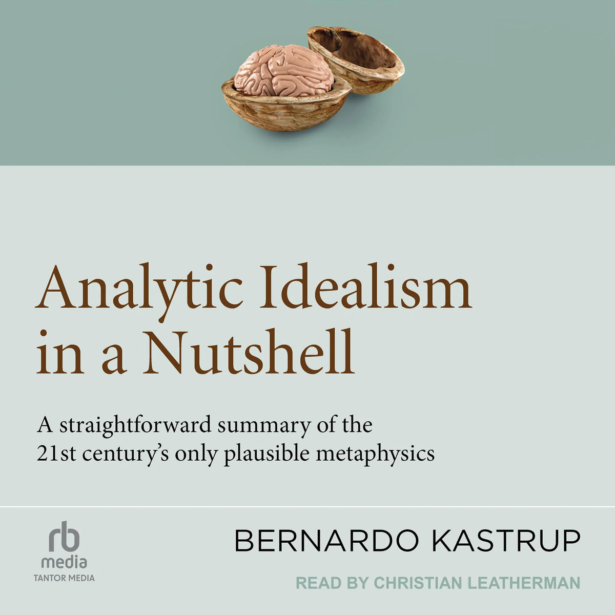 Analytic Idealism in a Nutshell