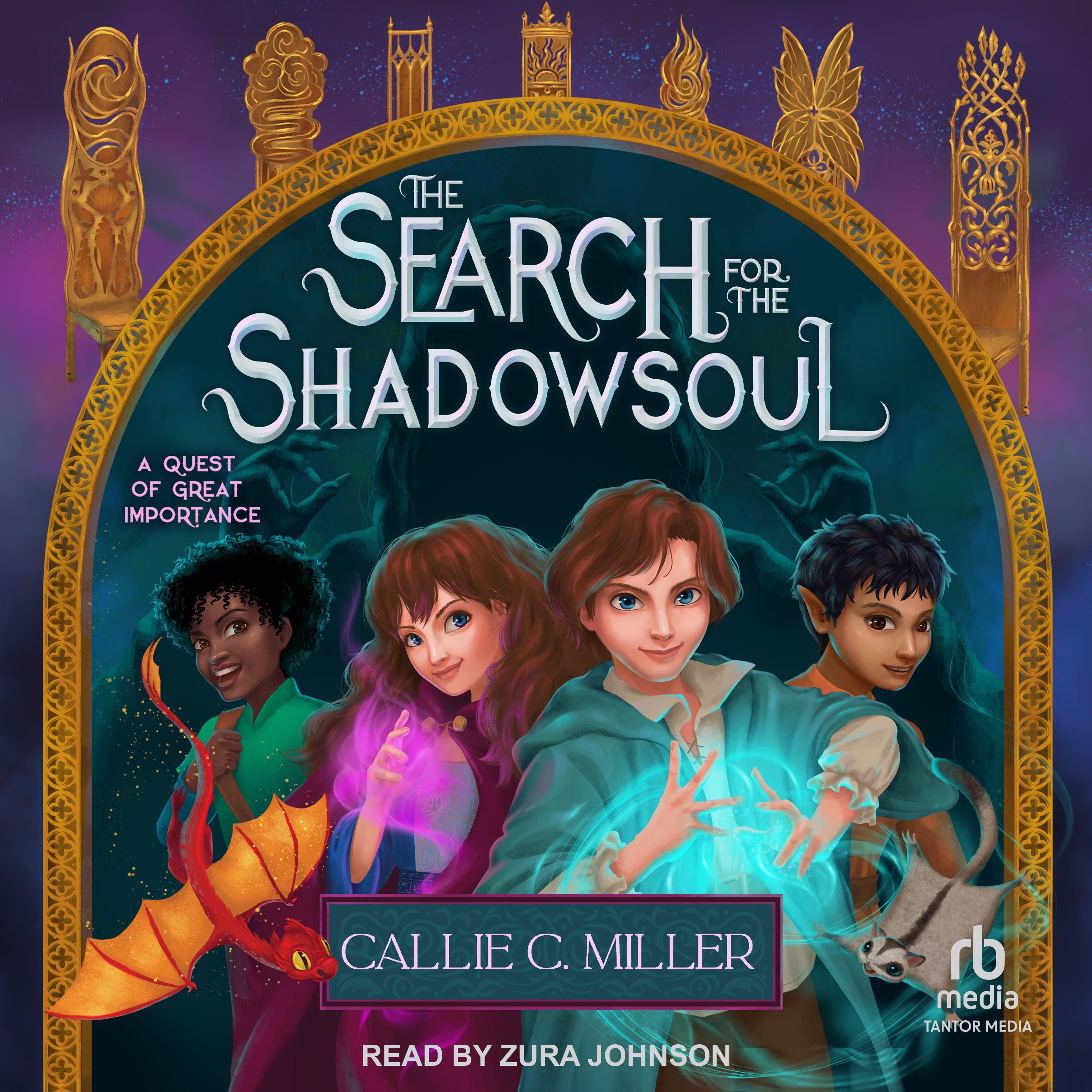 The Search for the Shadowsoul