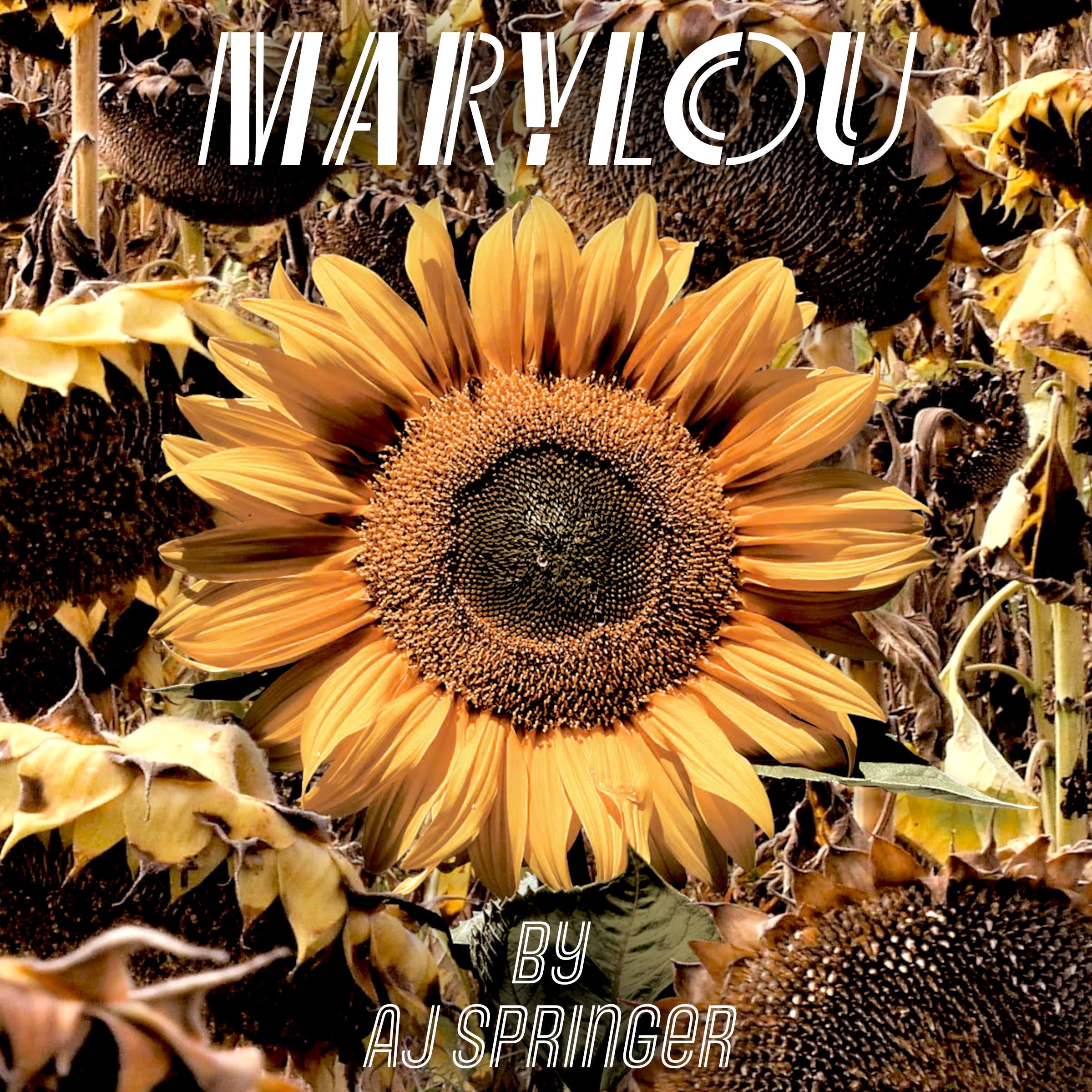 MaryLou