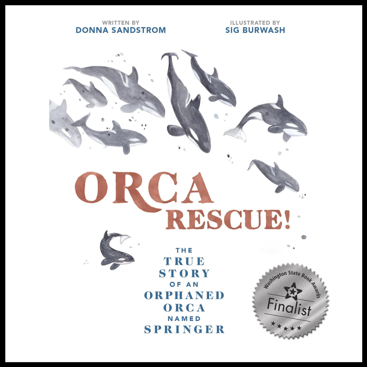 Orca Rescue! The True Story of an Orphaned Orca Named Springer