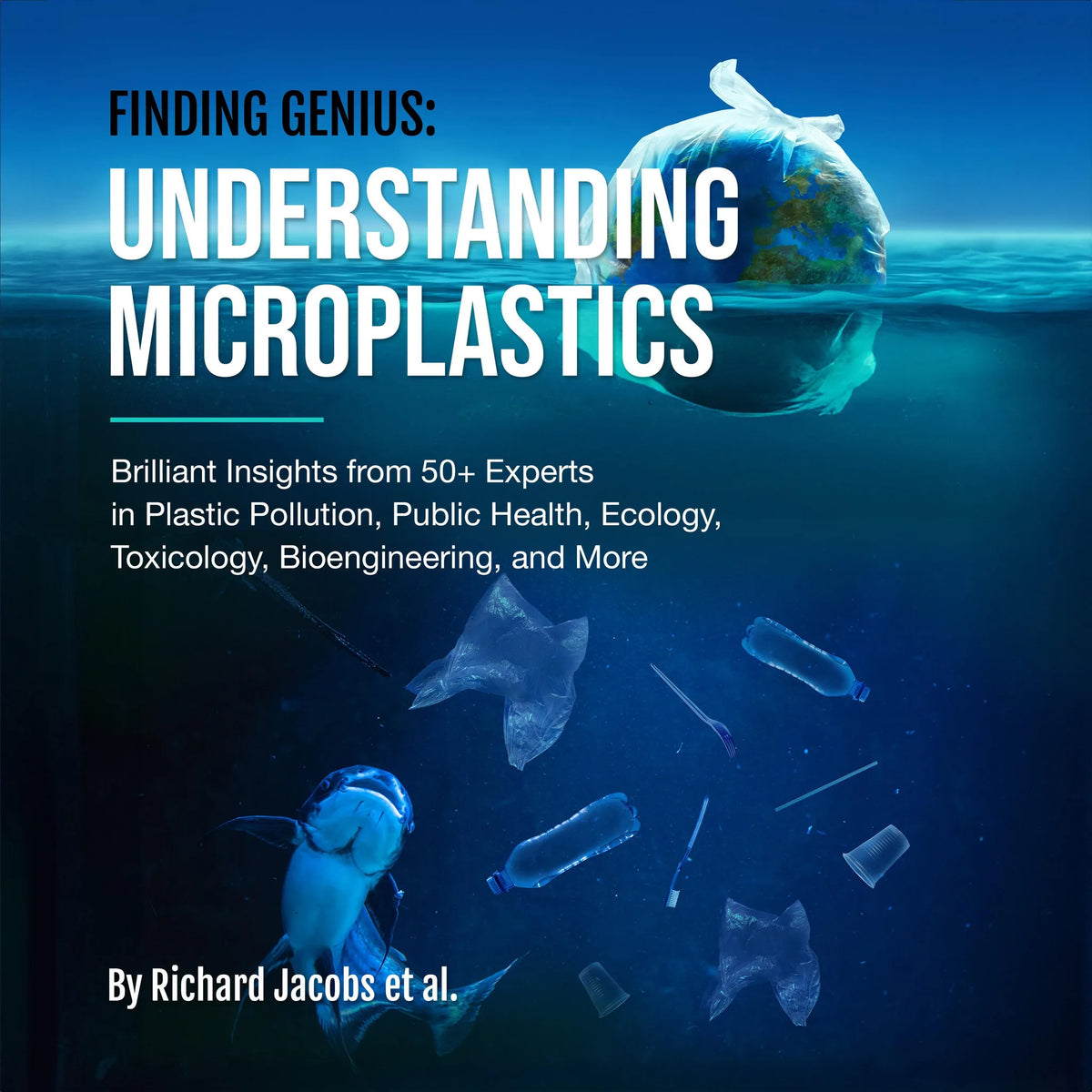 Finding Genius: Understanding Microplastics