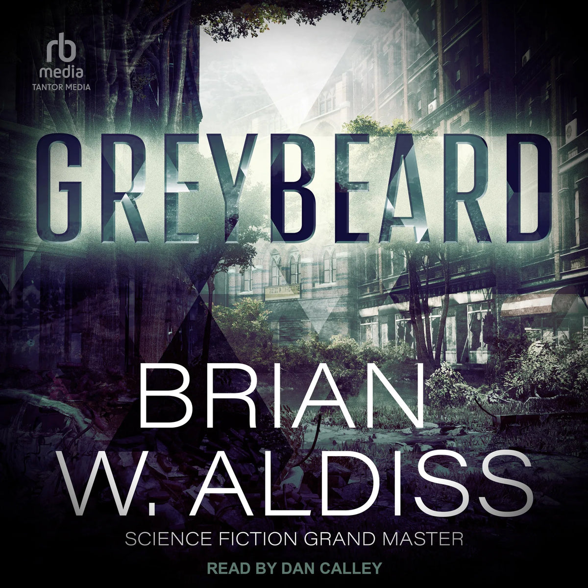Greybeard