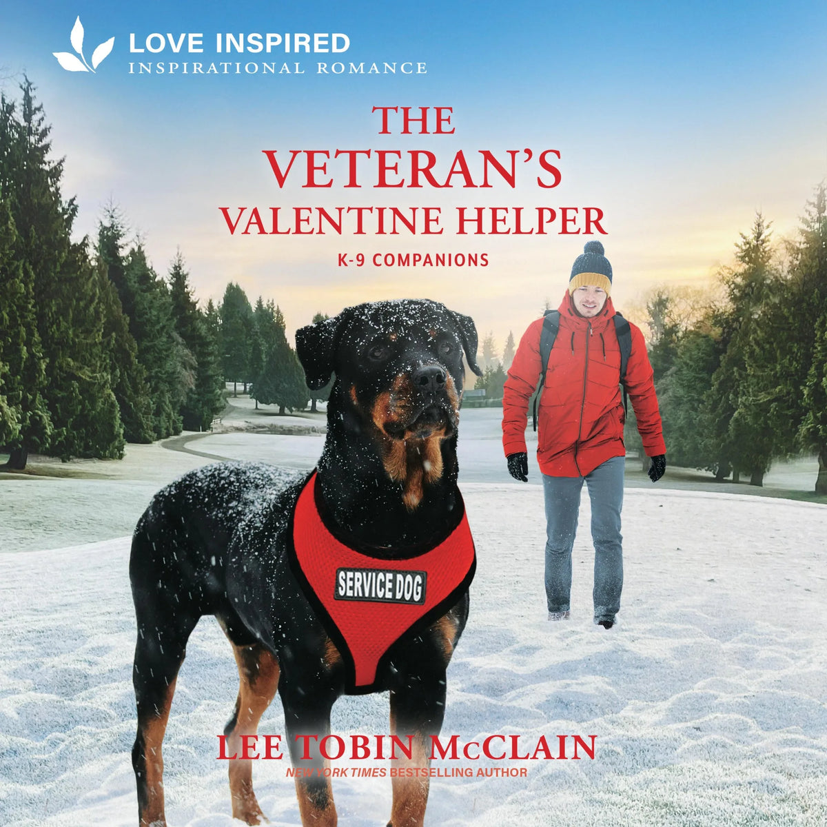 The Veteran's Valentine Helper