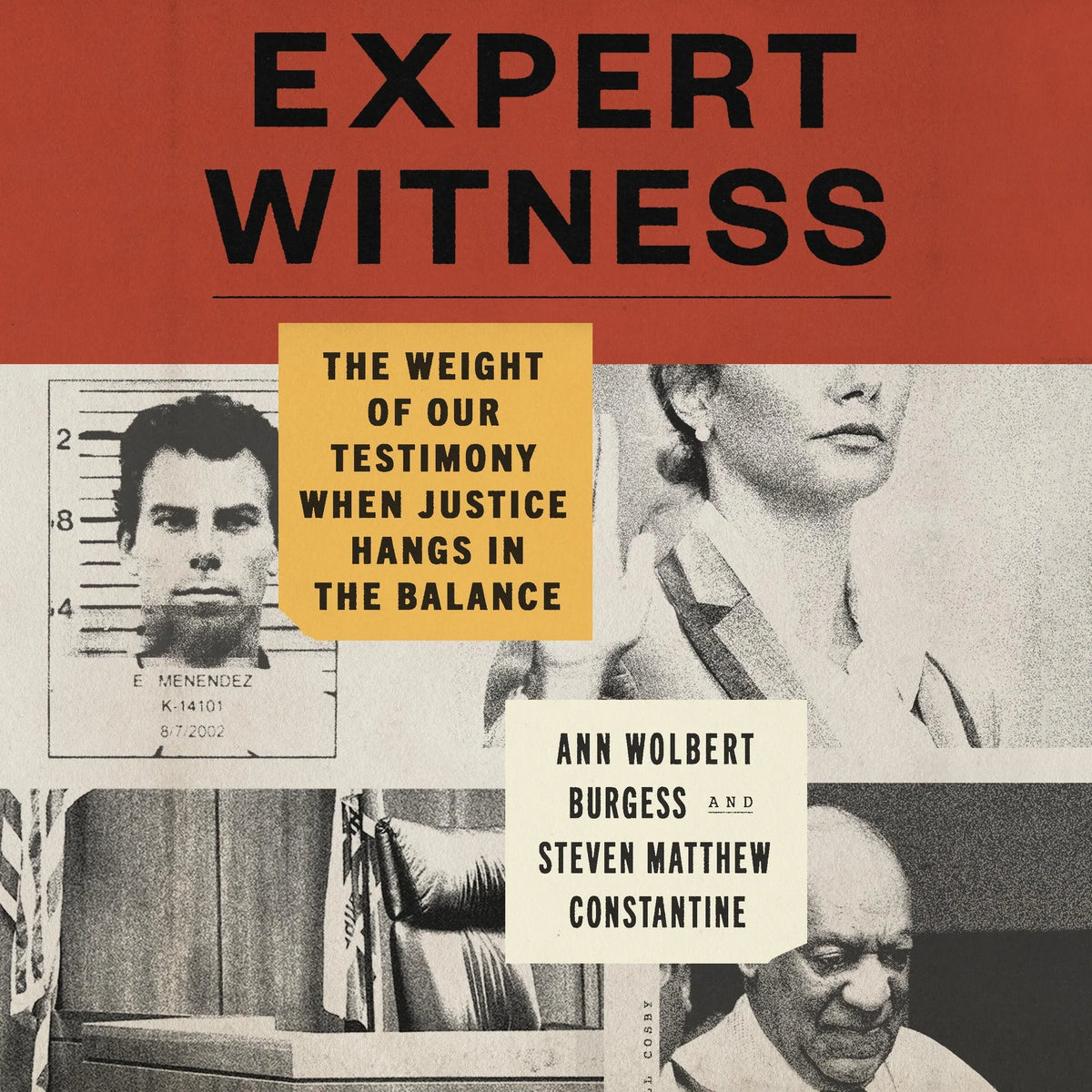 Expert Witness
