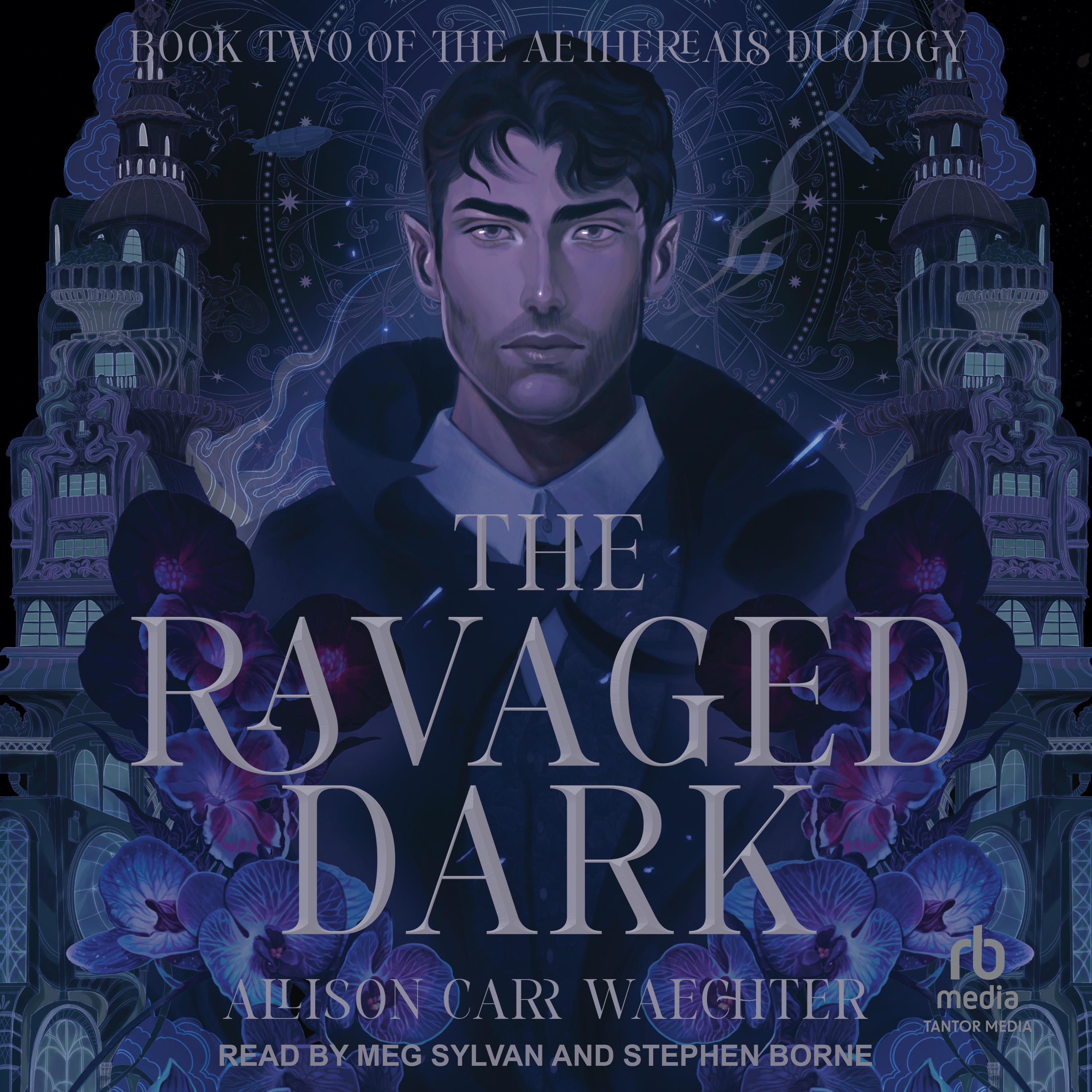 The Ravaged Dark