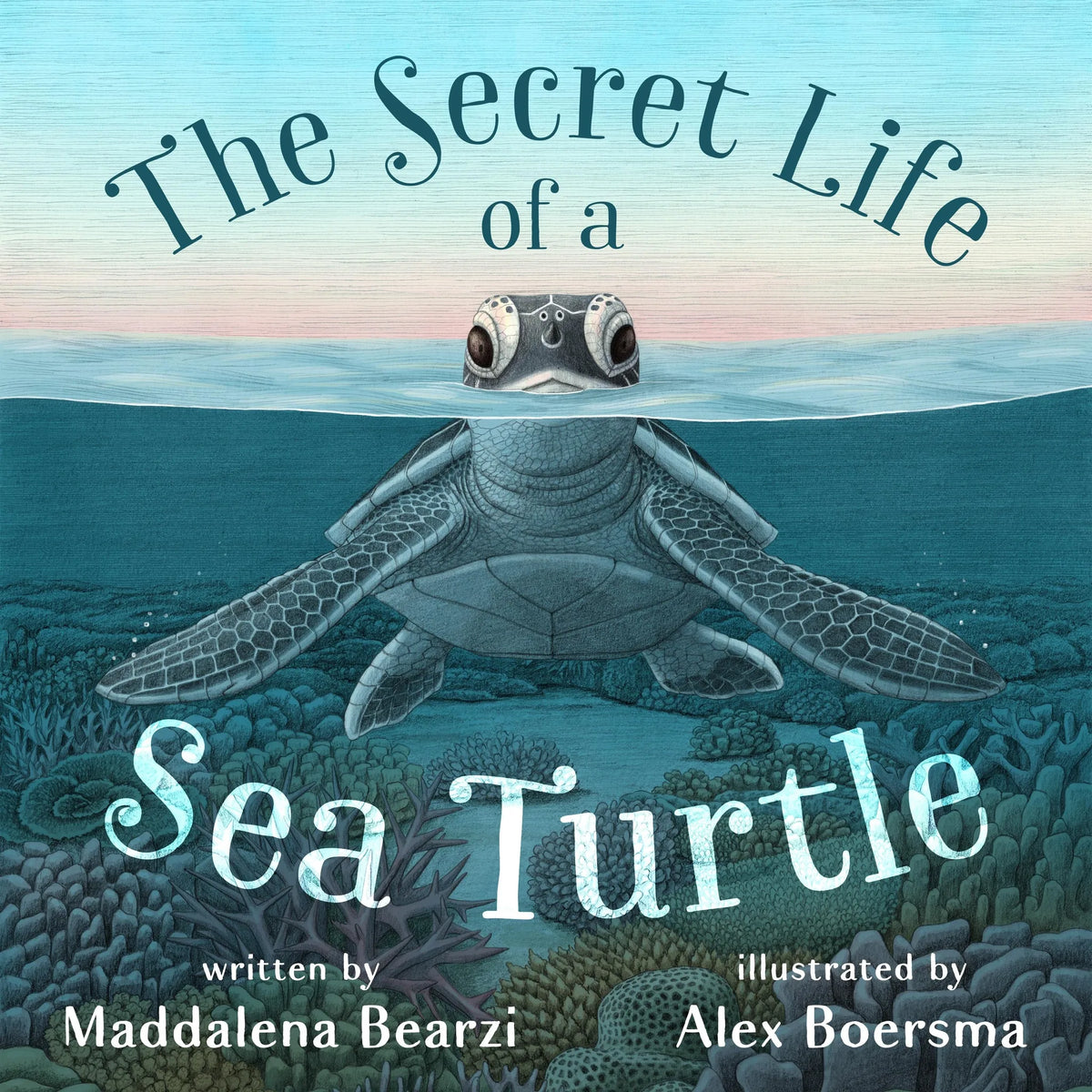 The Secret Life of a Sea Turtle