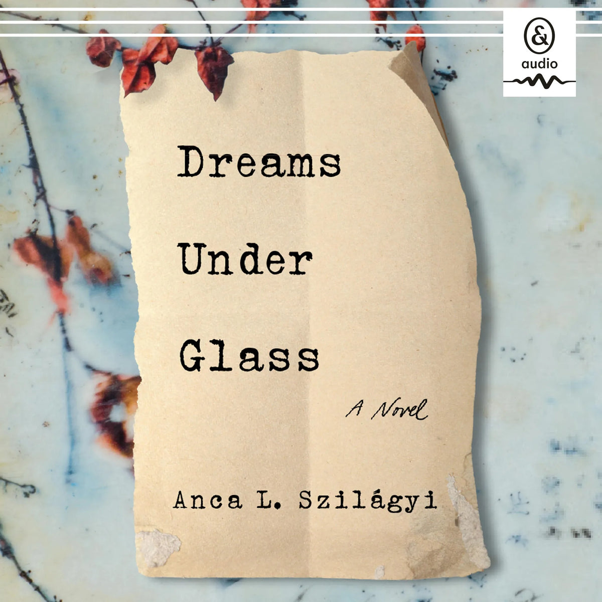 Dreams Under Glass