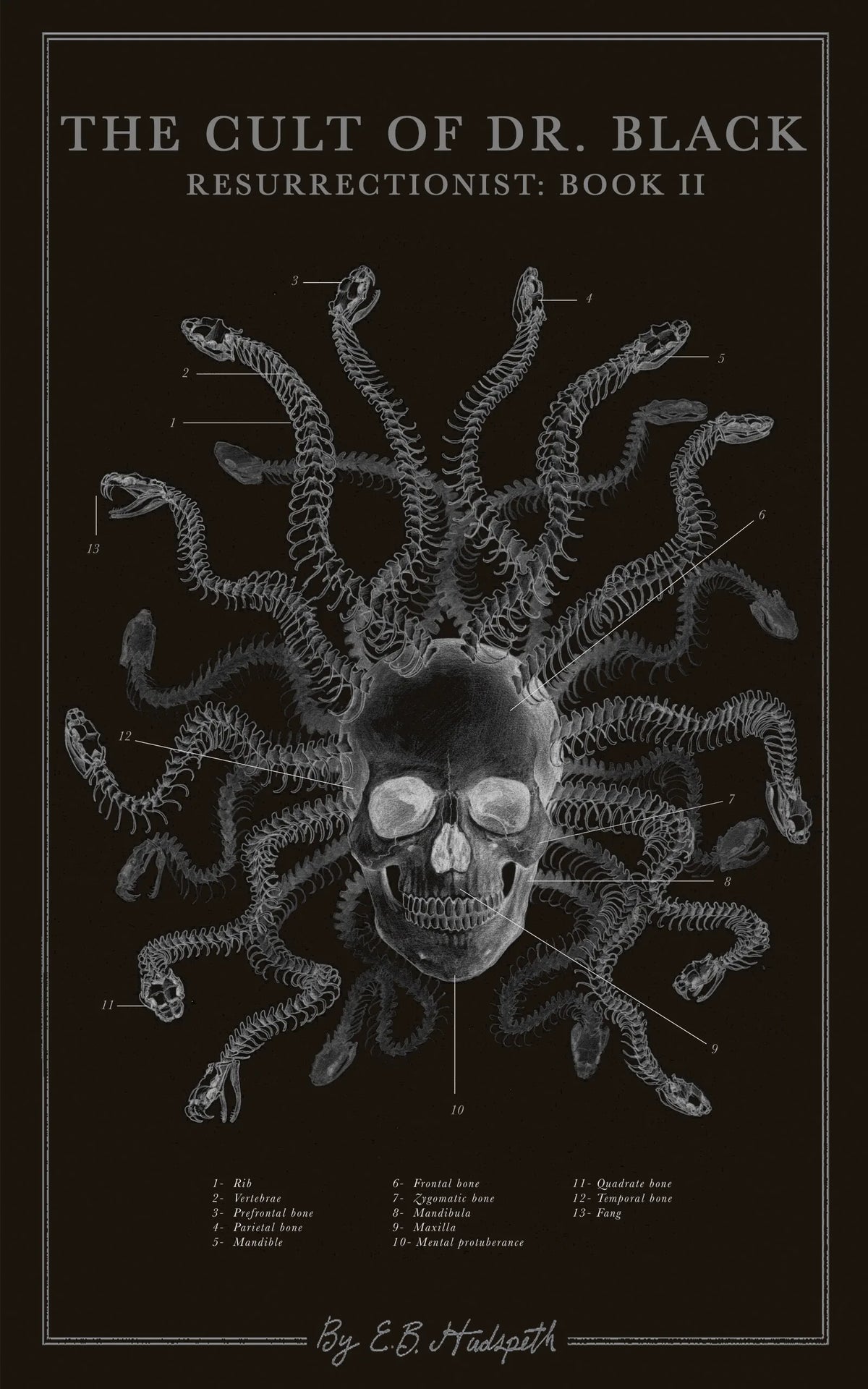 The Cult of Dr. Black
