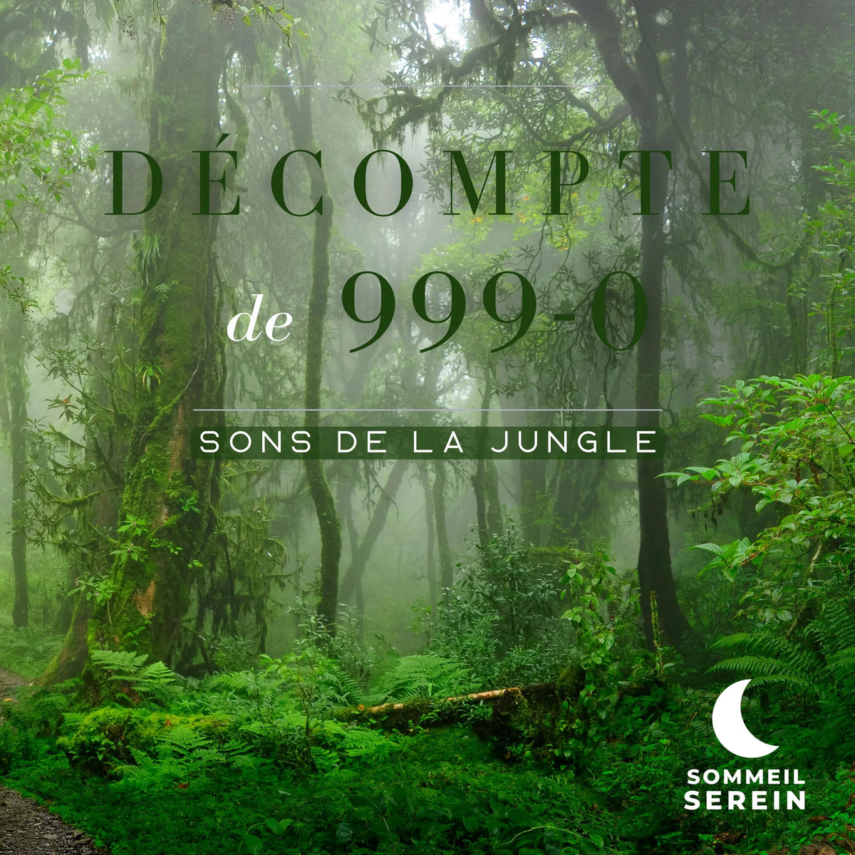 Décompte de 999-0: Sons de la jungle