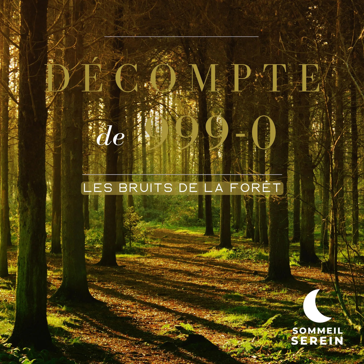 Décompte de 999-0: Les bruits de la forêt