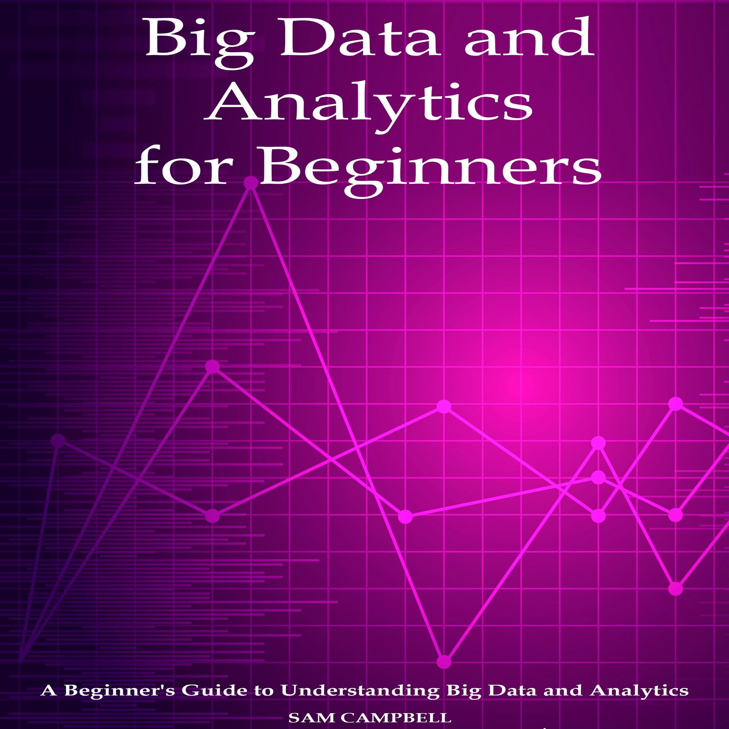 Big Data and Analytics  for Beginners
