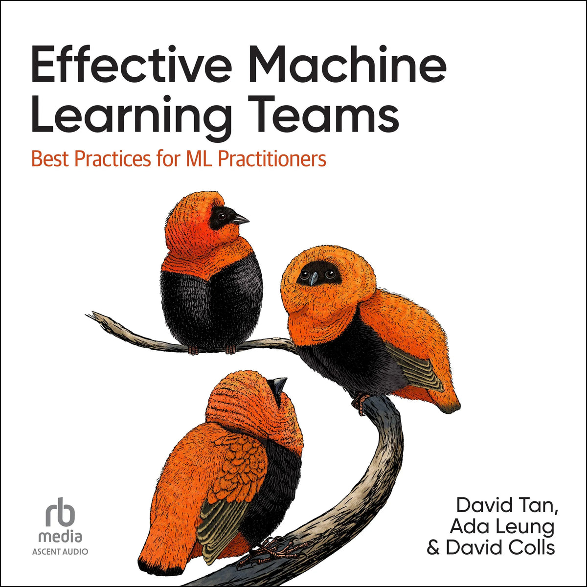 Effective Machine Learning Teams