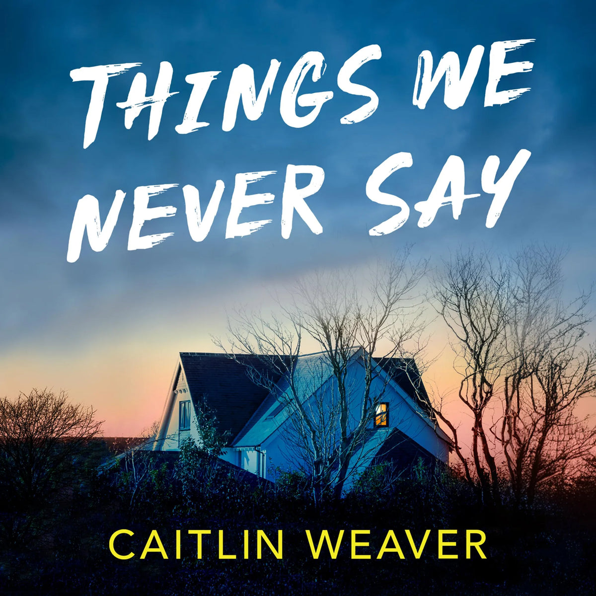 Things We Never Say