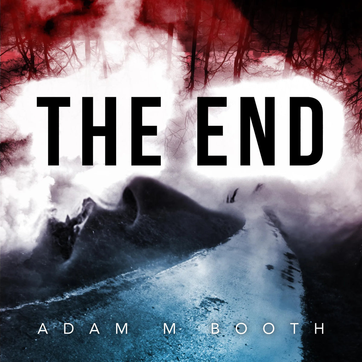 THE END