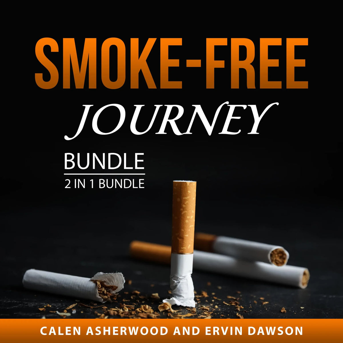Smoke-Free Journey Bundle, 2 in 1 Bundle