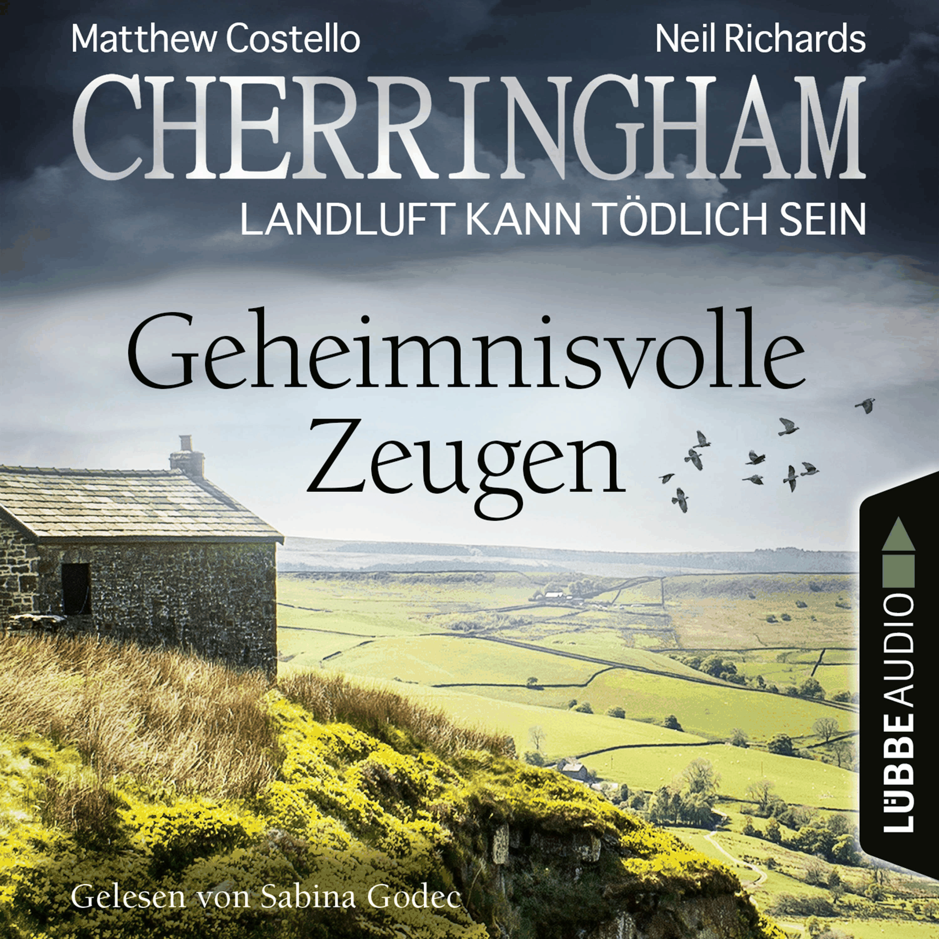 Cherringham - Landluft kann tödlich sein, Folge 33: Geheimnisvolle Zeugen