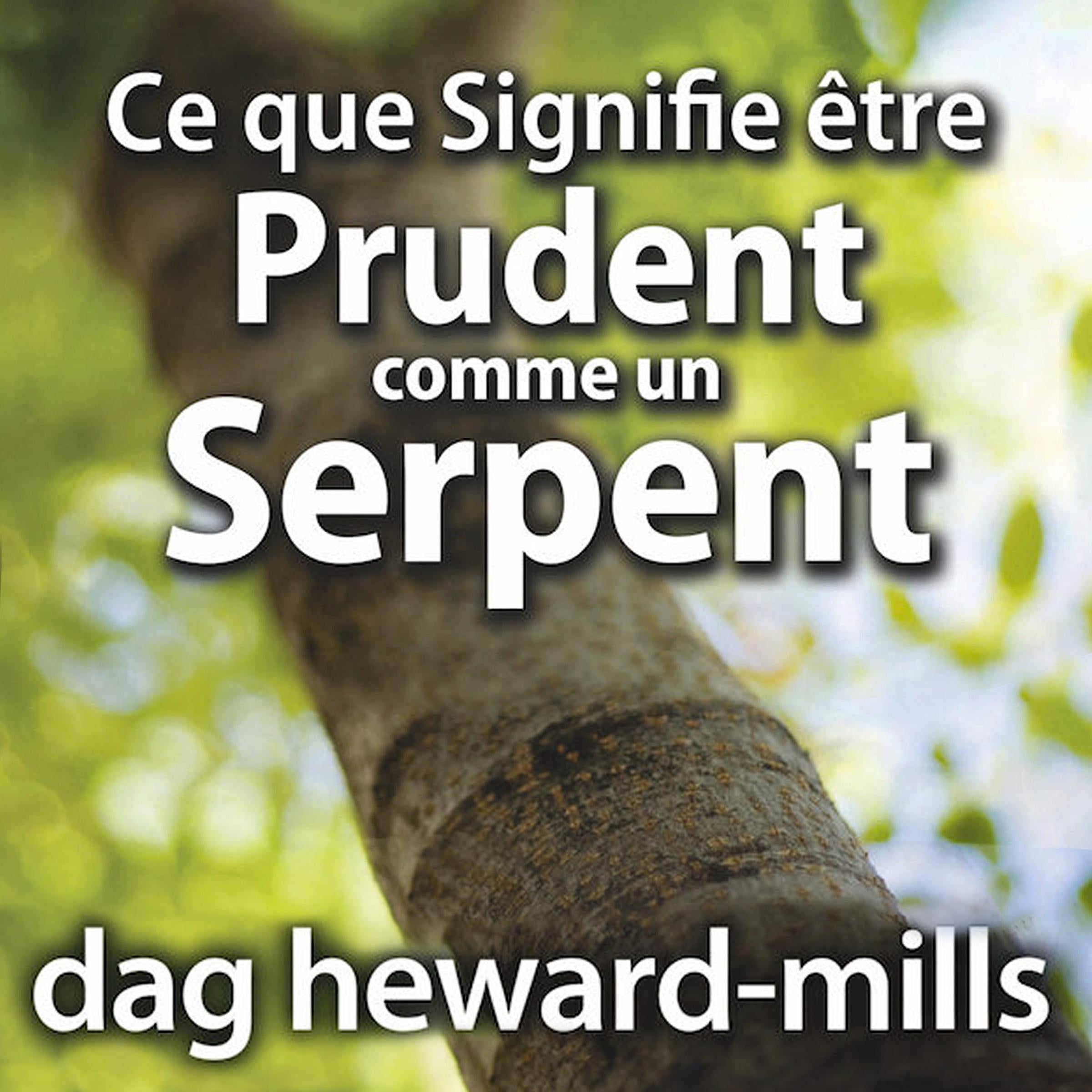 Ce que Signifie être Prudent comme un Serpent